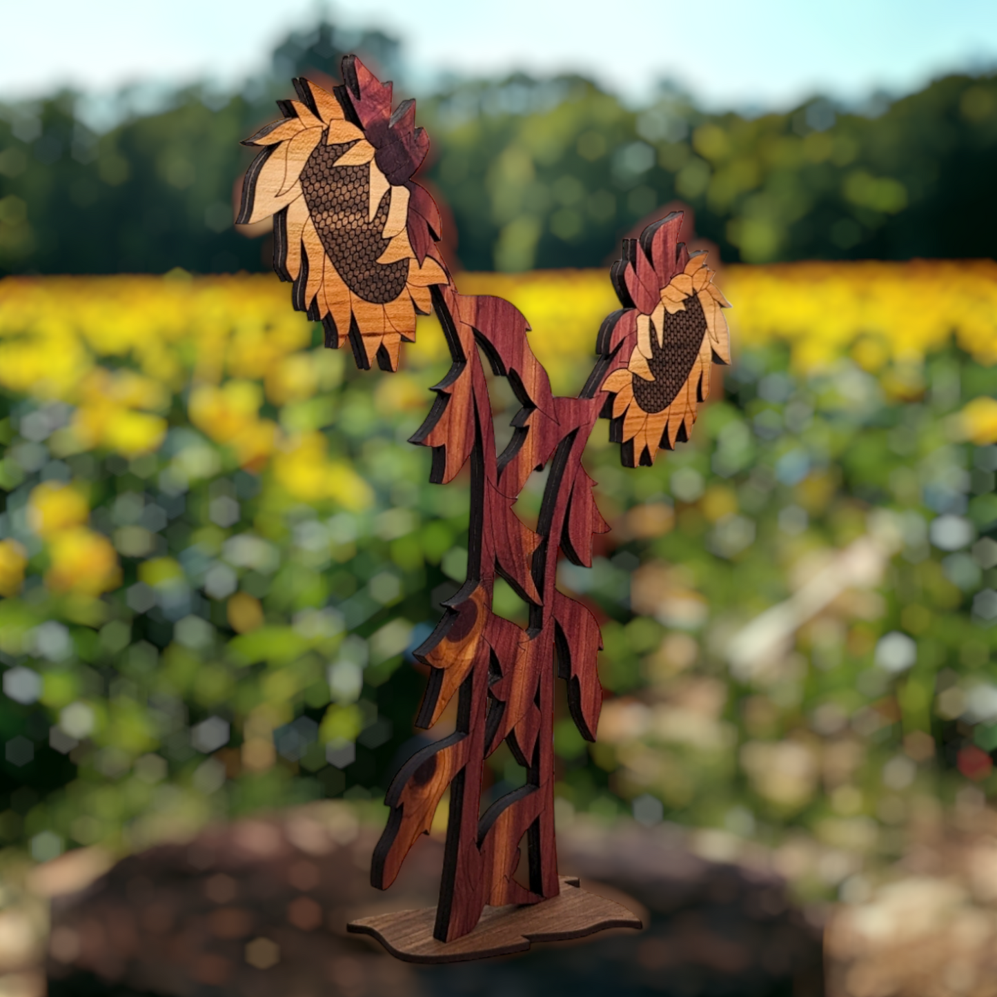 Spooky Wood Sunflower
