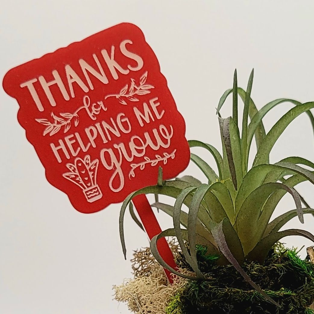 Thanks For Helping Me Grow! Funny Plant Stake