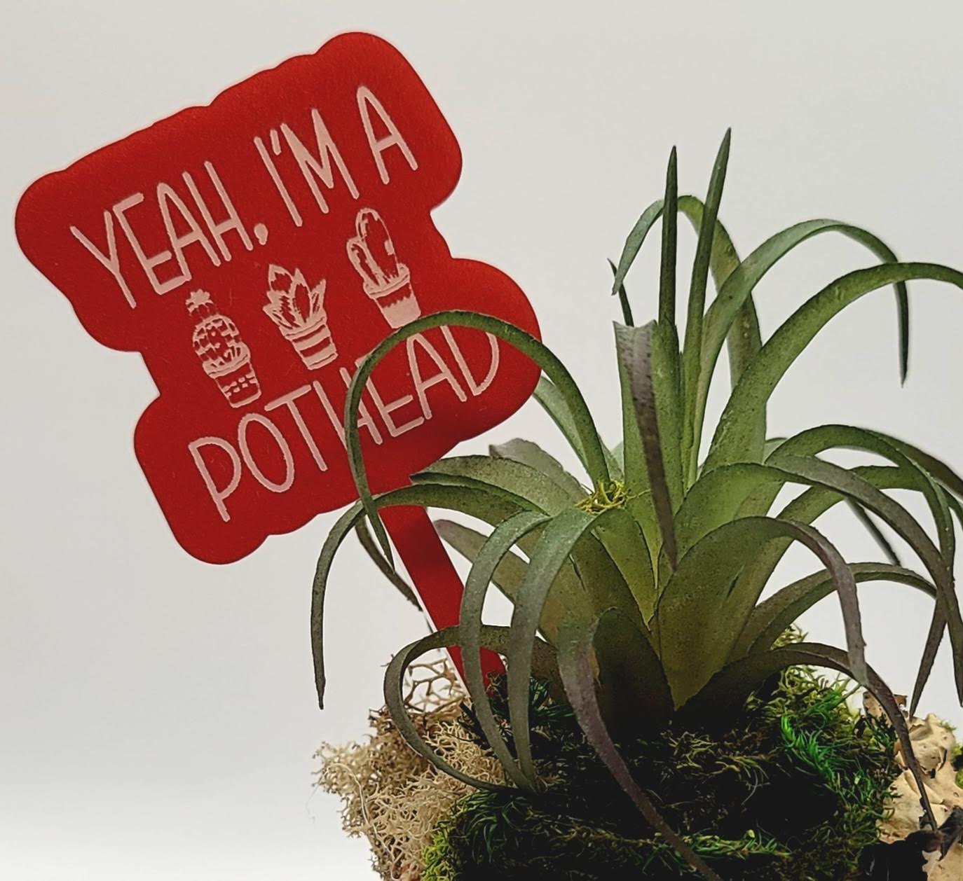 Yeah, I'm A Pot Head! Funny Plant Stake