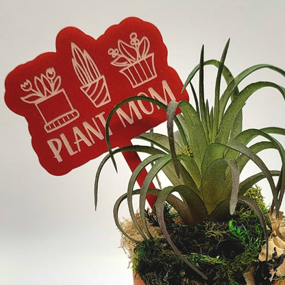 Planter maman ! Piquet de plante drôle