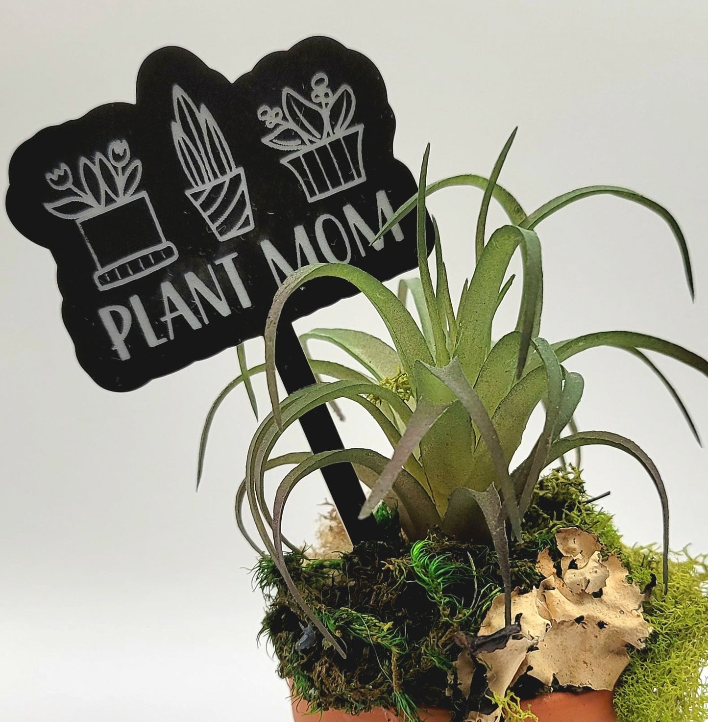 Plant Mom! Funny Plant Stake