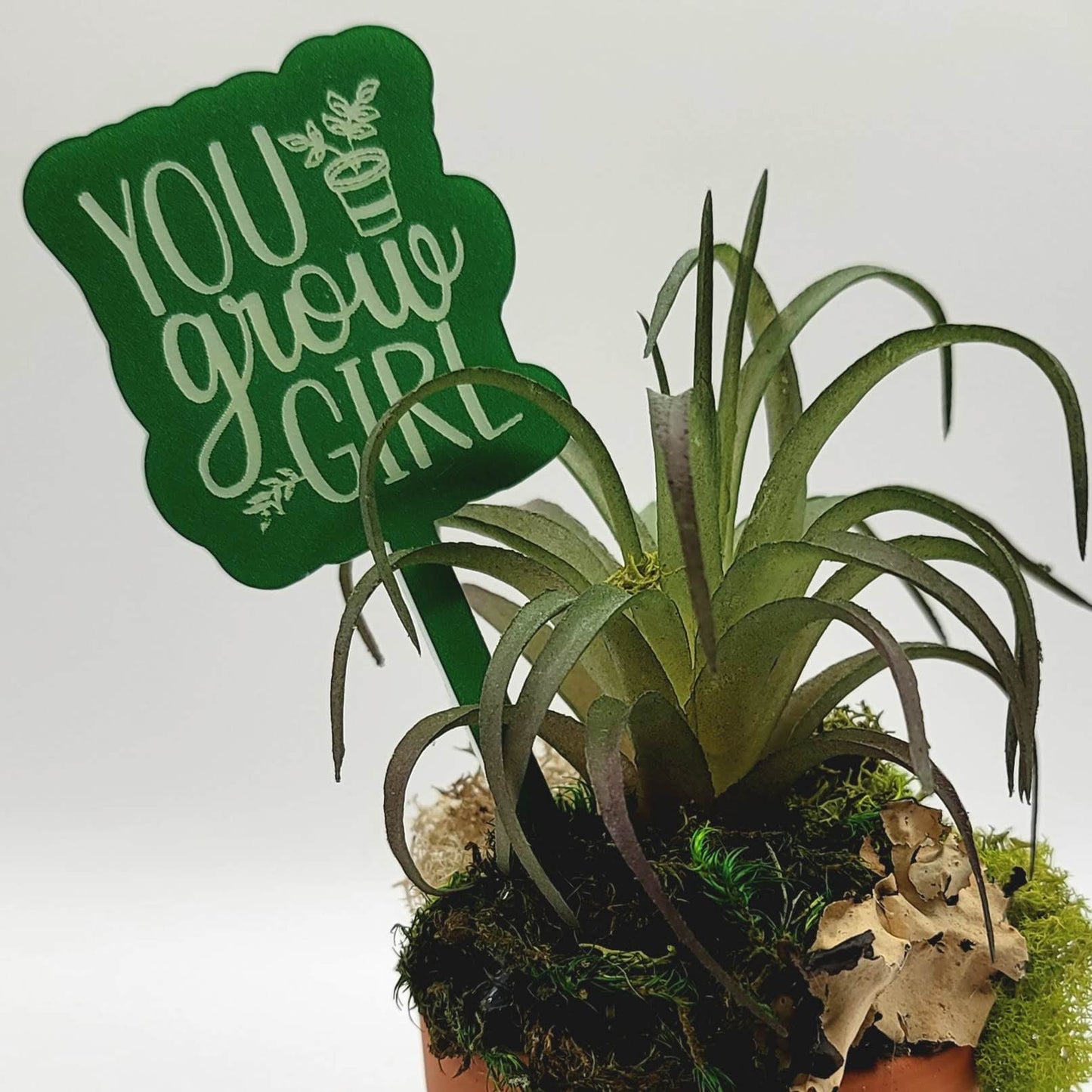 You Grow Girl! Funny Plant Stake