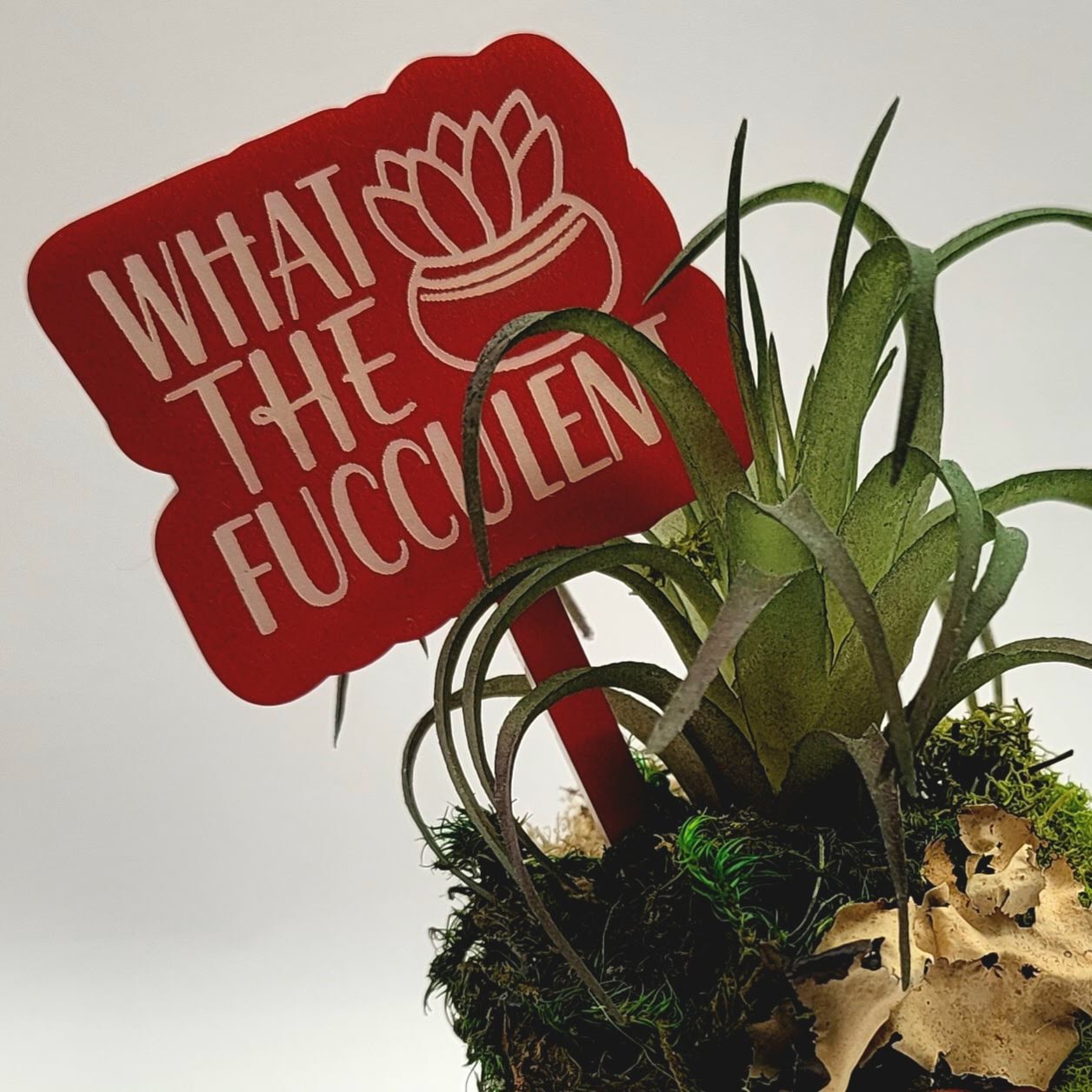 What the Fucculent! Funny Plant Stake
